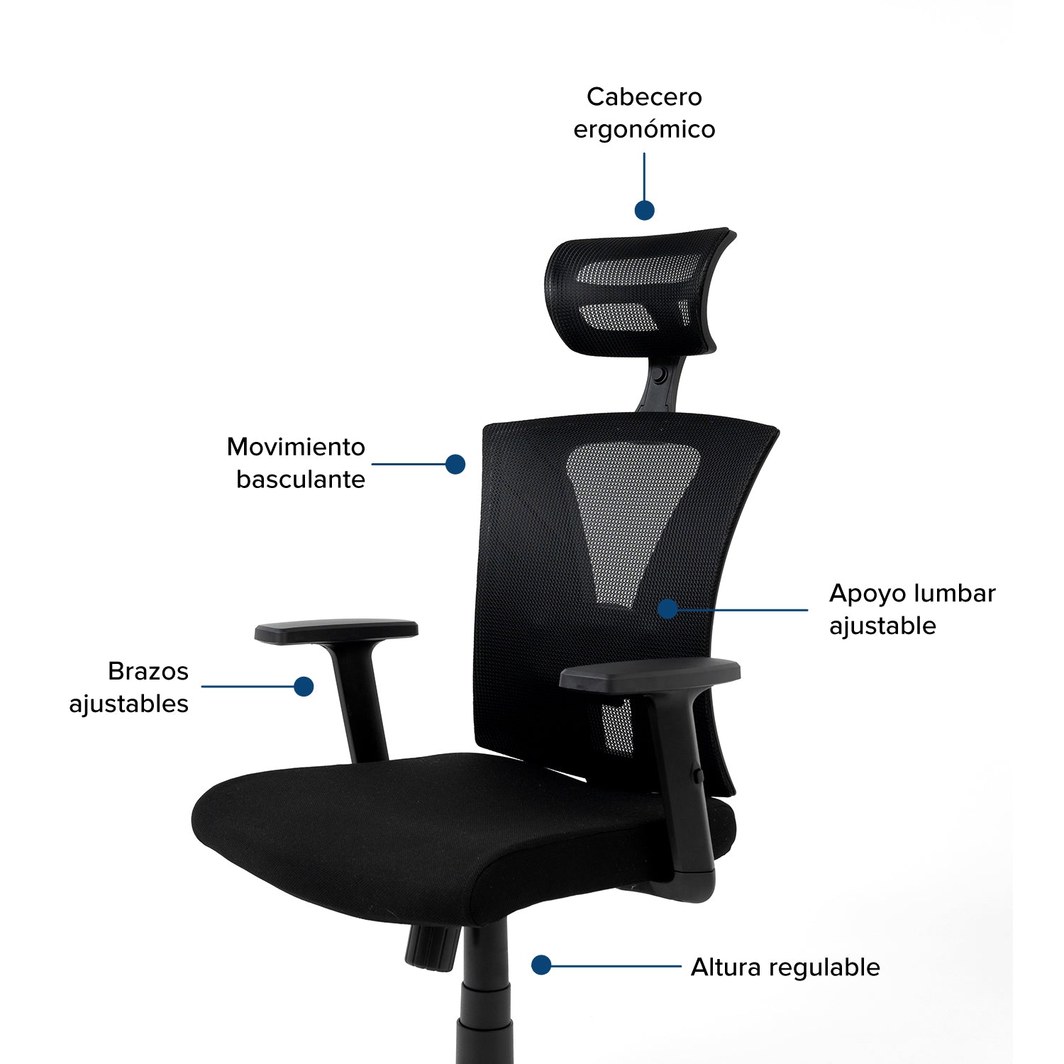 Silla de Oficina Presidente Niza