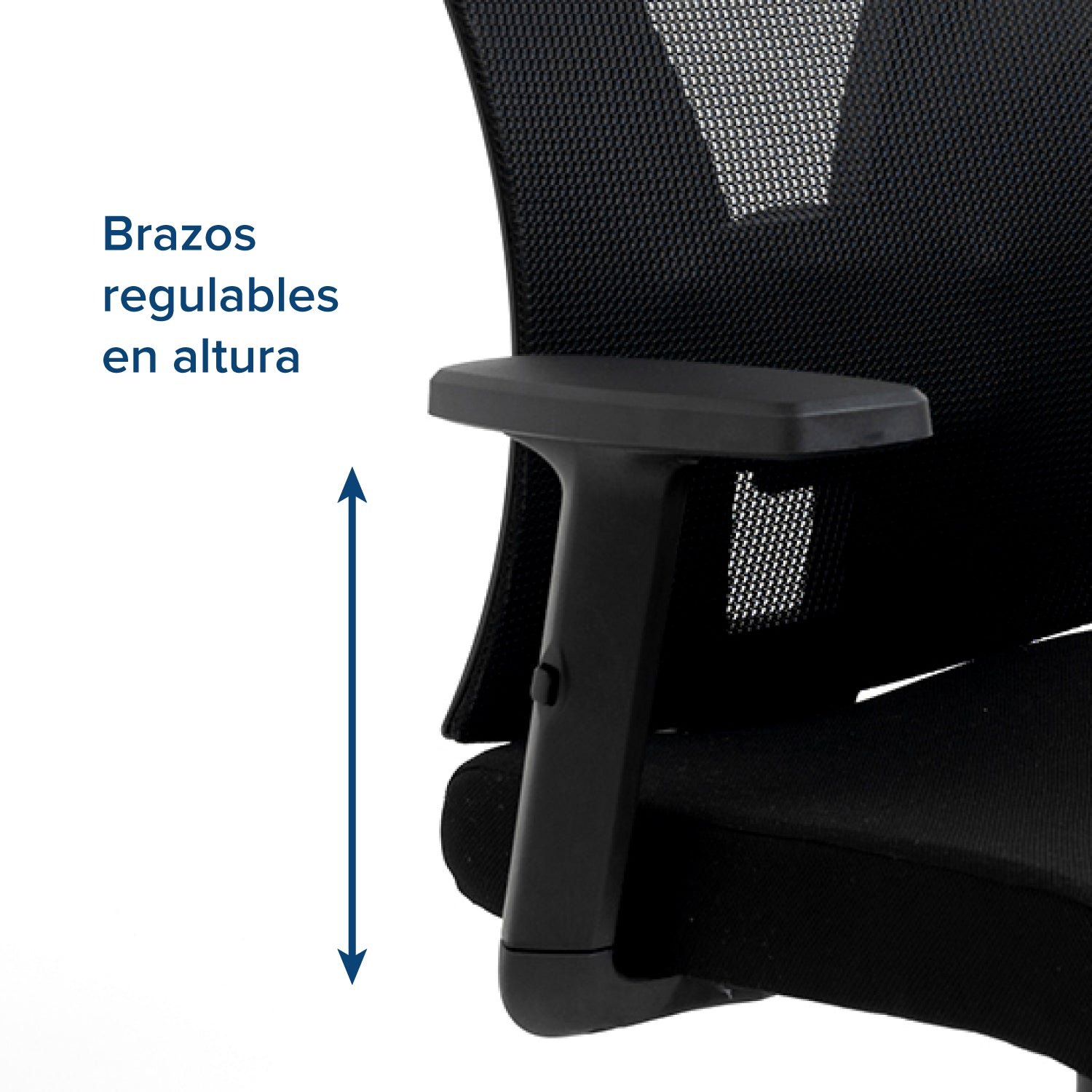 Silla de Oficina Presidente Niza