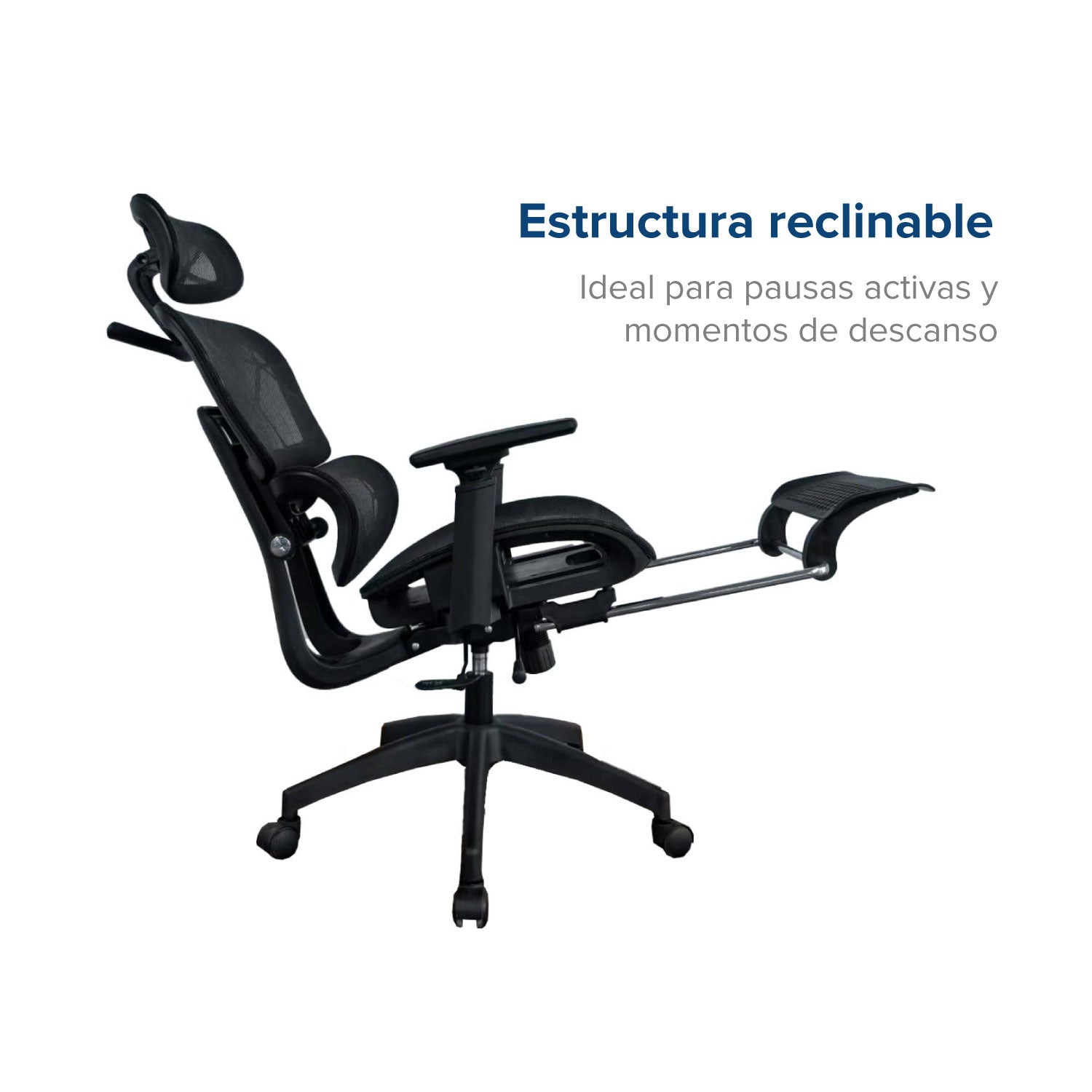 Silla de Oficina Presidente ErgoPro