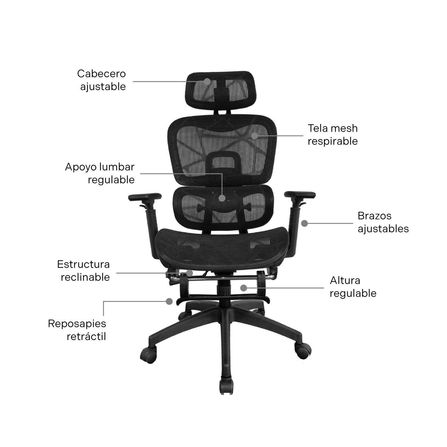 Silla de Oficina Presidente ErgoPro