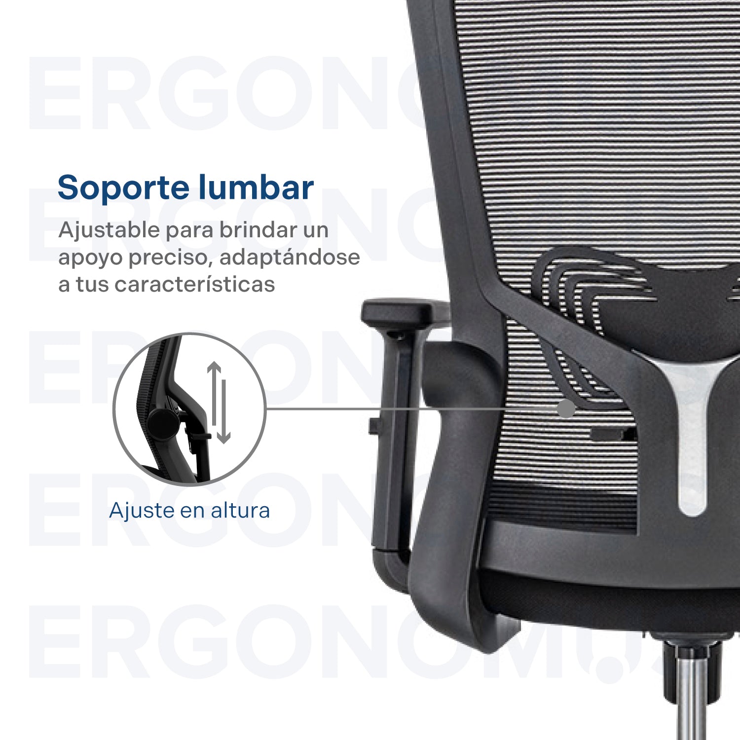 Silla de Oficina Gerente Delphi 1 Basculante Premium