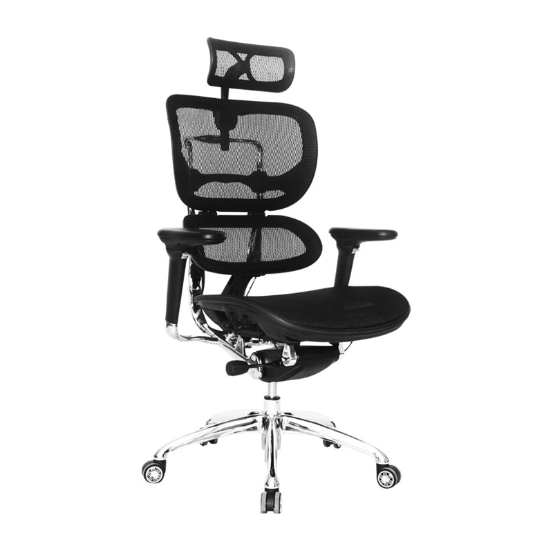 Silla de Oficina Presidente Ergohuman Lujo