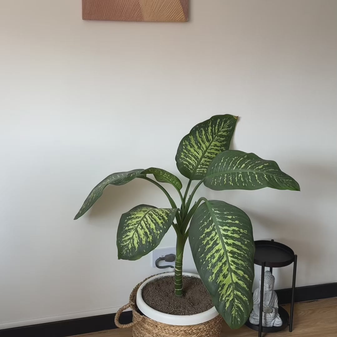 Silla de Cafetería Vita Con Brazo Negra